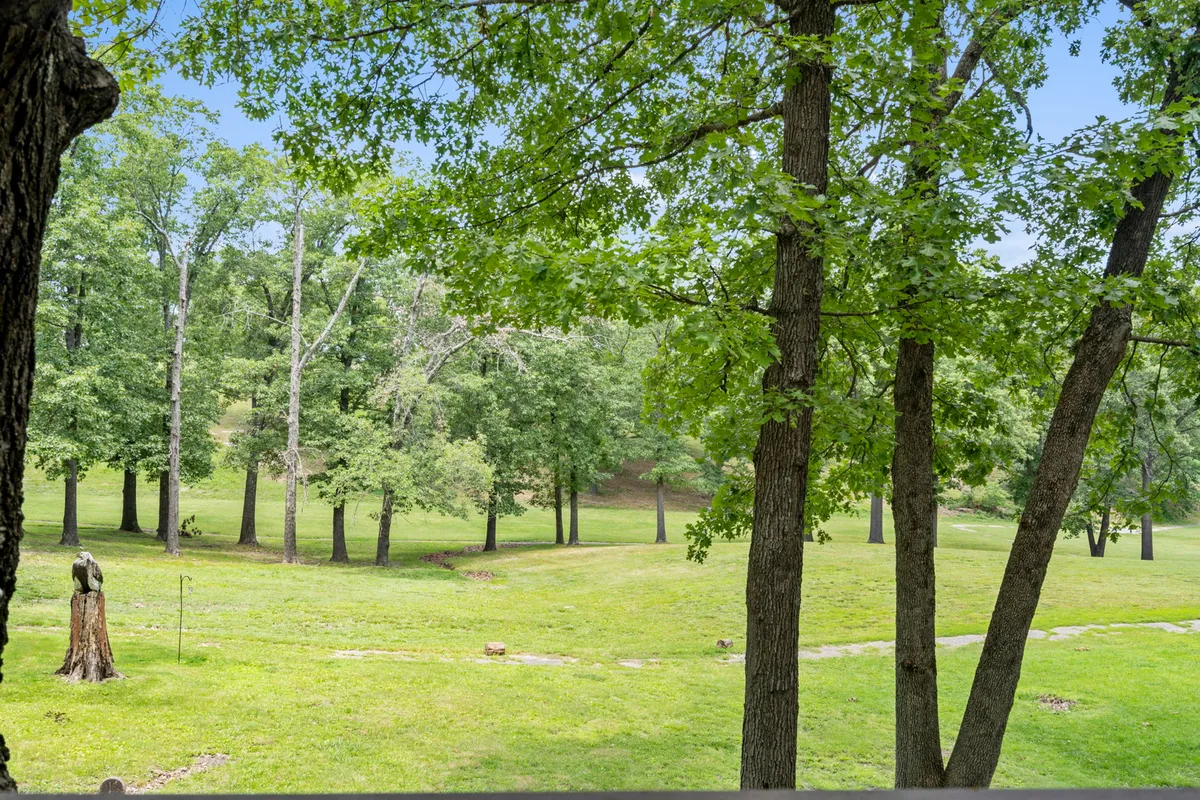 A tranquil exterior scene featuring a wide expanse of lush greenery, tall trees, and an open grassy area ideal for walks or play. The serene setting is bathed in natural light, capturing the essence of peaceful outdoor exploration.