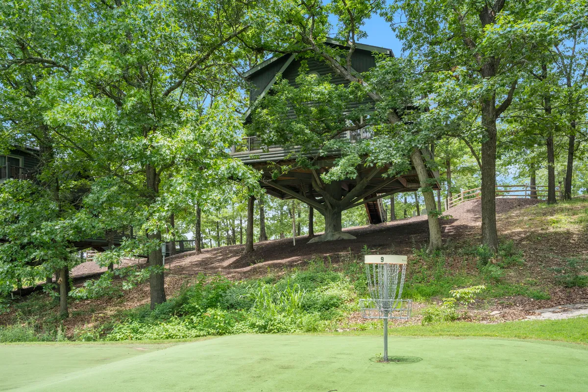 This image captures a charming treehouse nestled in lush greenery with a clearly visible golf basket in the foreground. The setting exudes playfulness and adventure, with the treehouse suggesting unique accommodations and the golf basket highlighting on-site disc golf opportunities. The surrounding trees and sunlight create an inviting, vibrant atmosphere for outdoor activities.